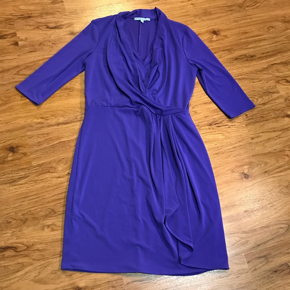 Antonio melani purple dress 🎁